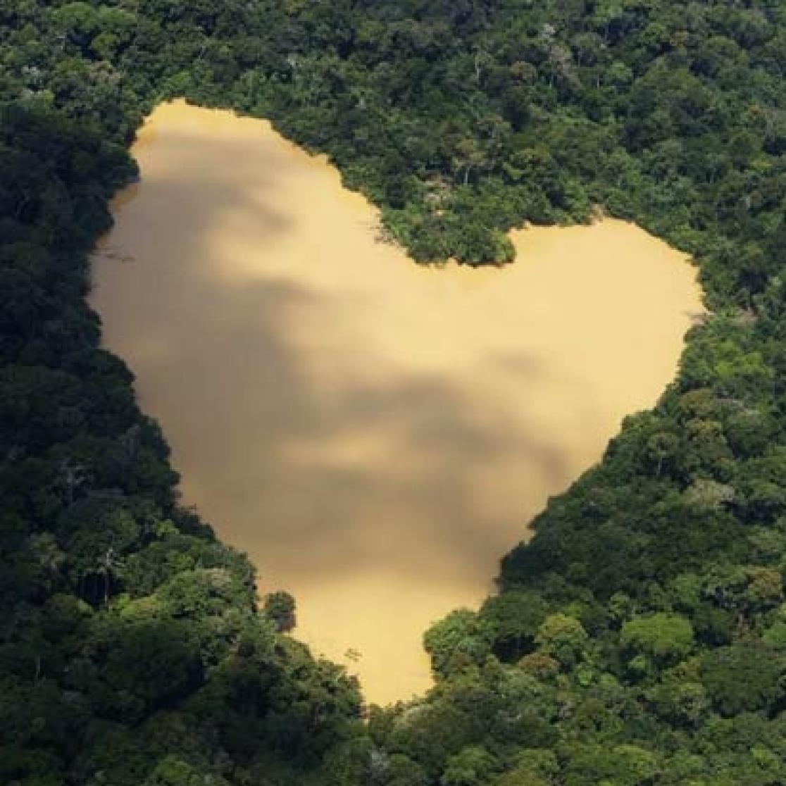 heart