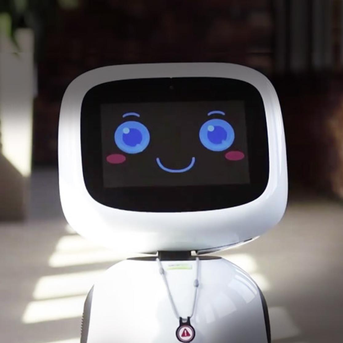 Service robot