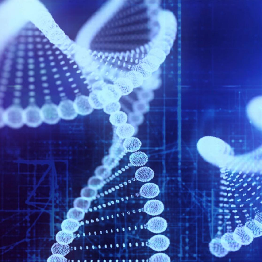 Research lines Maastricht Centre for Systems Biology presented