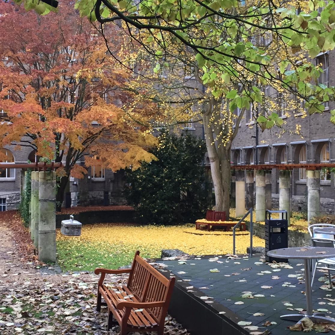 Tuin FdR