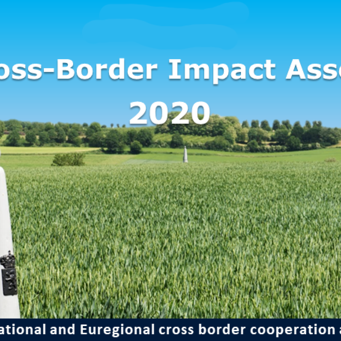 item_assessment_2020
