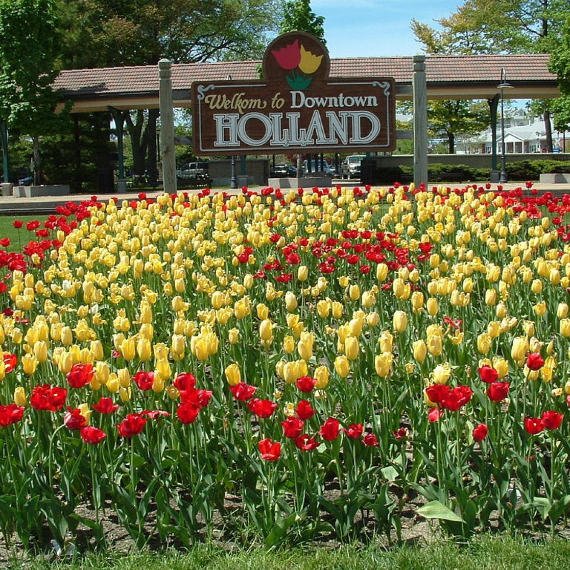 Kiesrecht Nederlanders_tulips