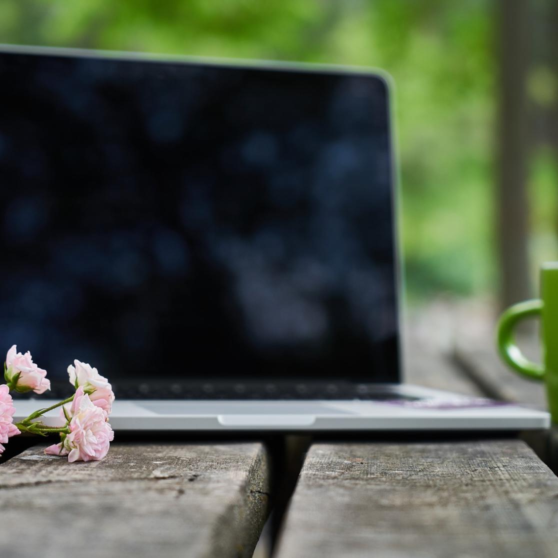 law_blog_anna_pivaty_work_habits