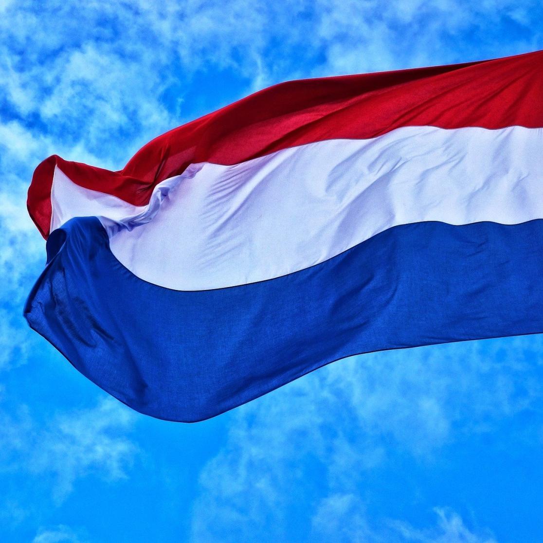 law_blog_bert_vd_braak_grondwetsherziening