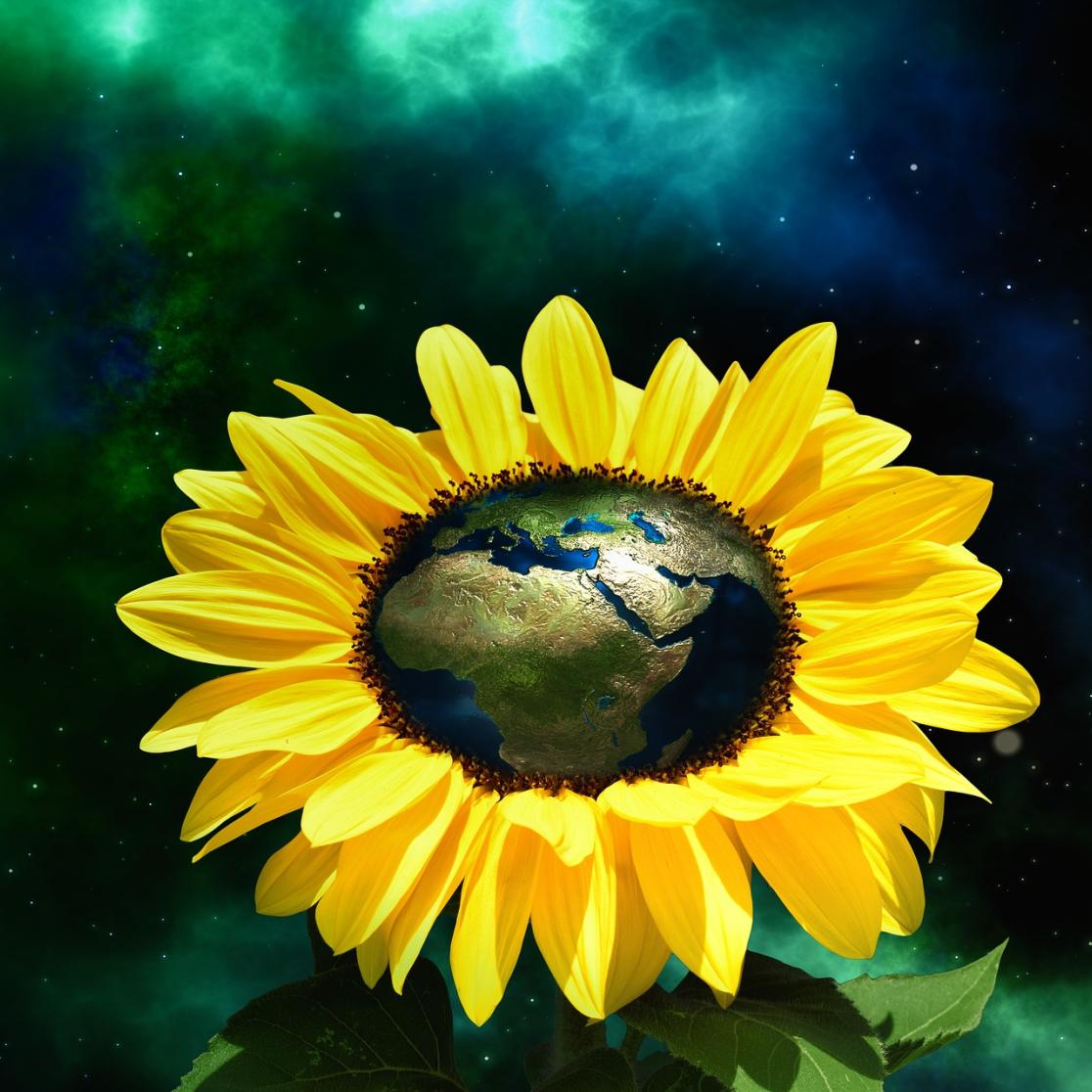 law_blog_mark_kawakami_dont_sweat_the_small_stuff