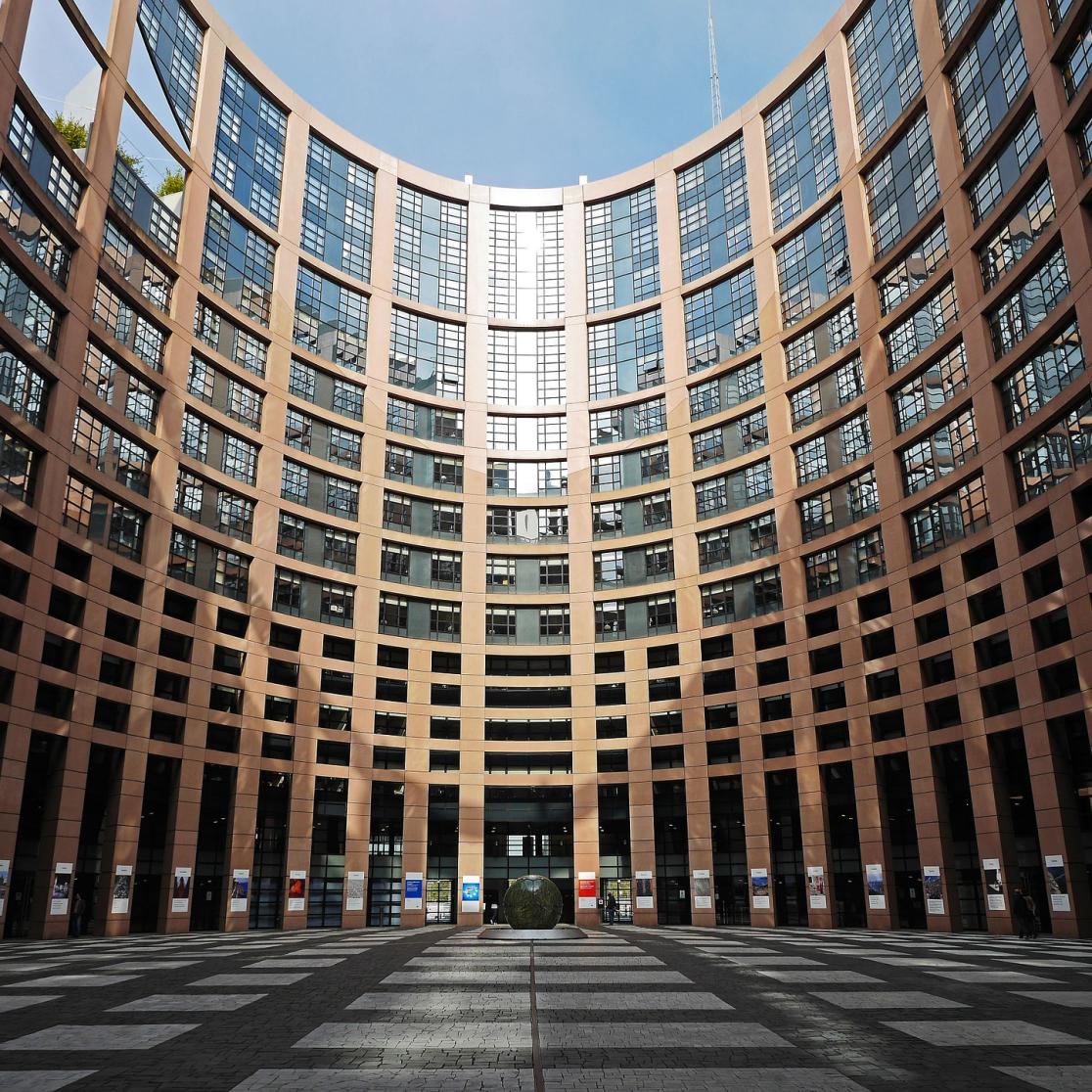 law_european-parliament_blog_merijn_chamon