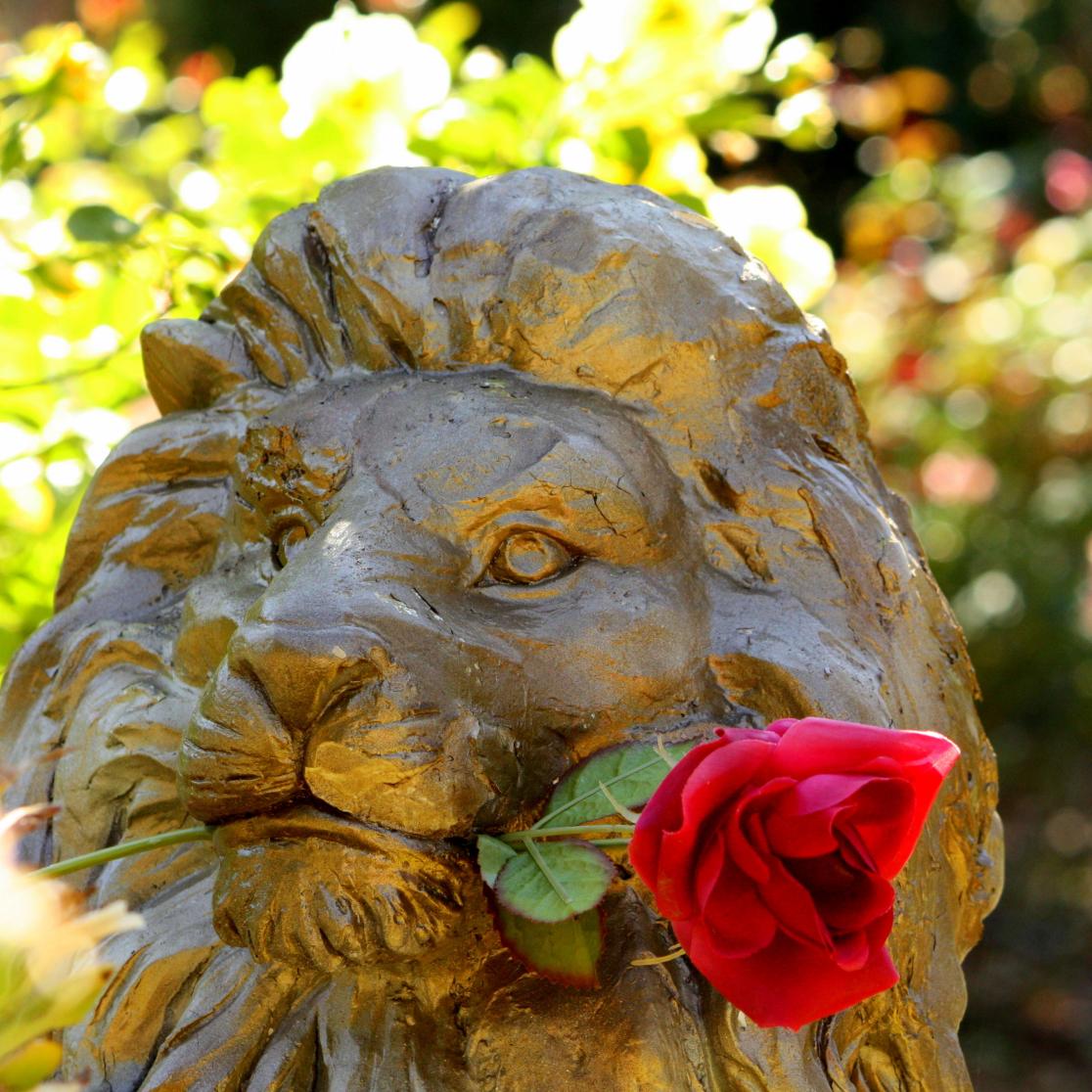 Lions mouth