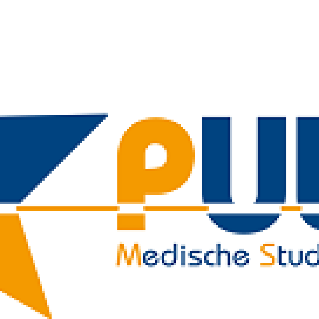 MSV Pulse logo