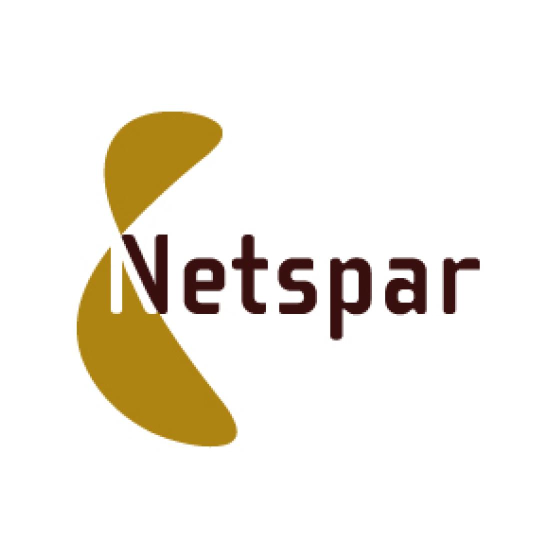 netspar_klein