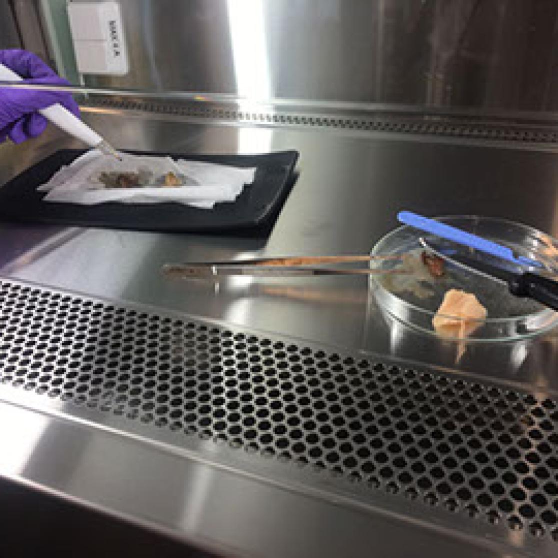 maastricht-4-scienceday-iknife