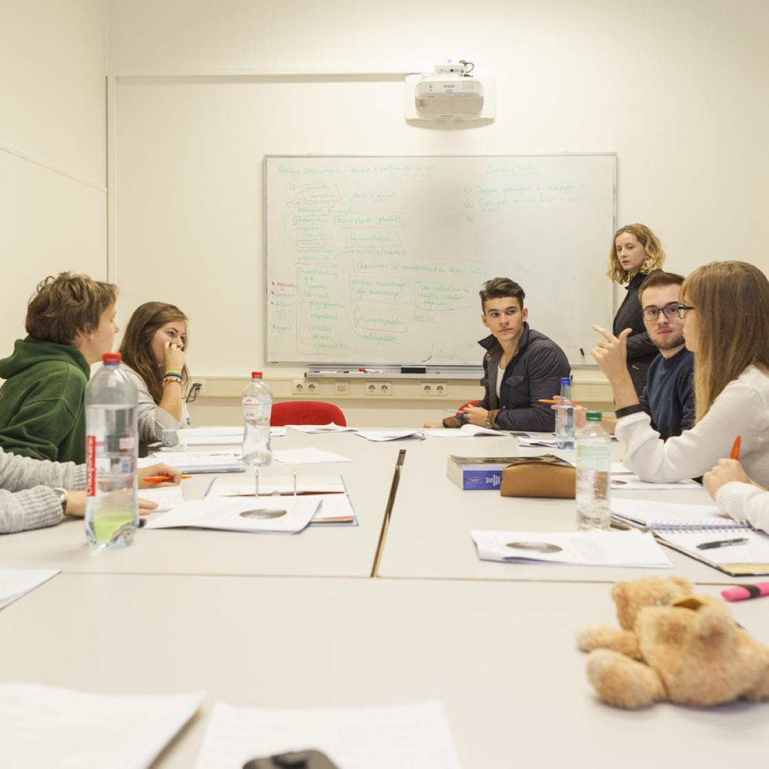 Maastricht Science Programme - Problem Based Learning