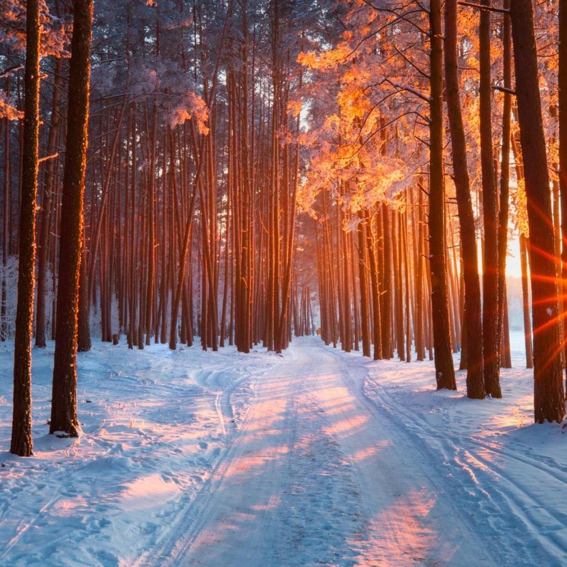 nature_walk.jpg