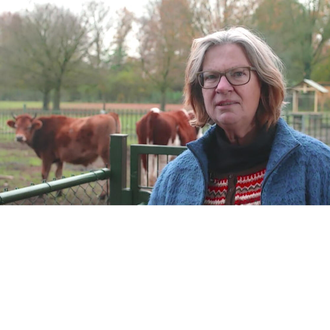 Prof. dr. Leonie Cornips of the Centre for AnimalHuman Studies