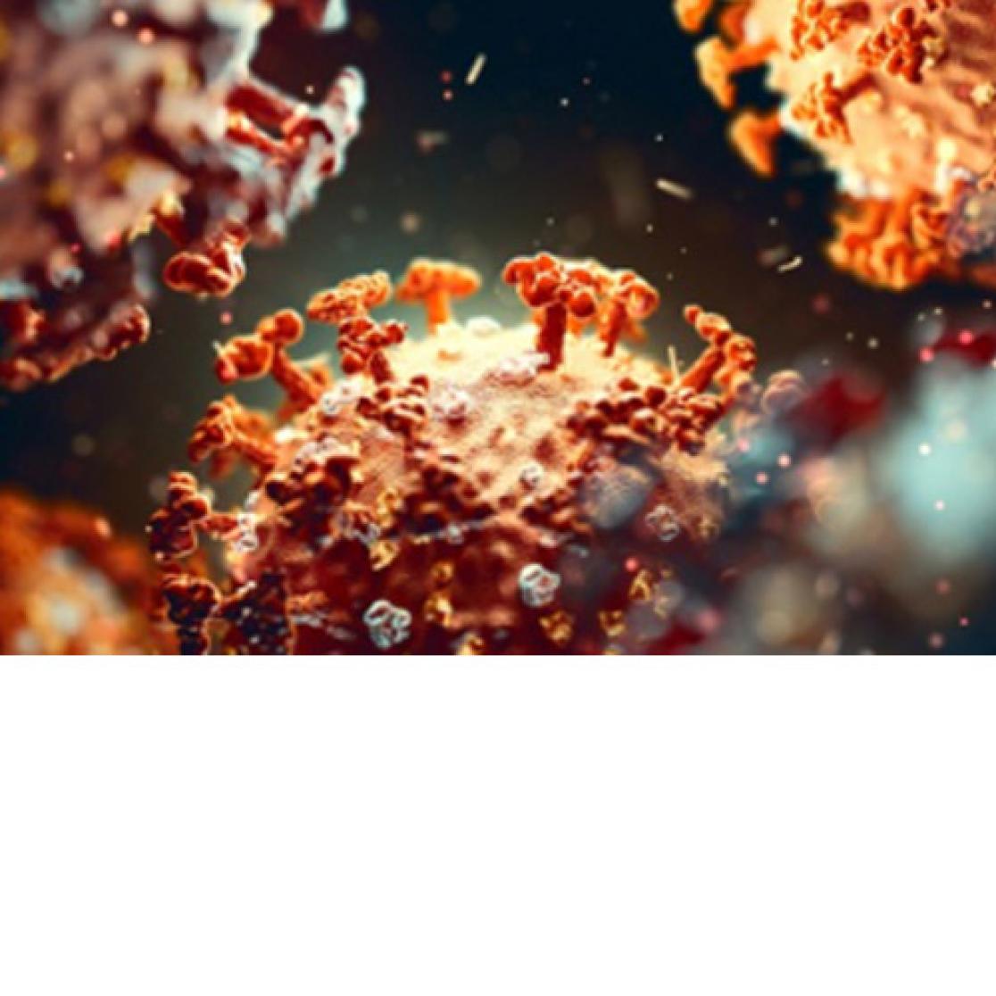 COVID-19 Virus
