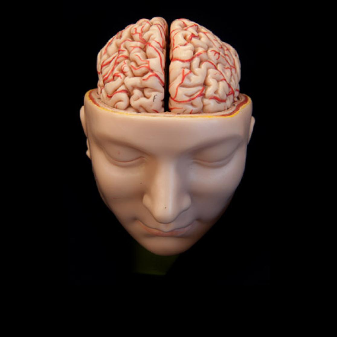 Human Brain Project