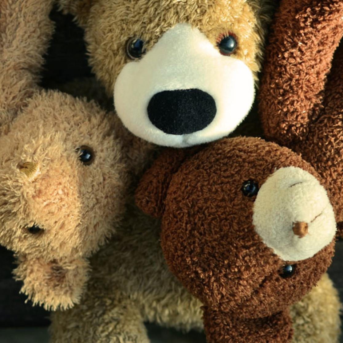 bear doctors