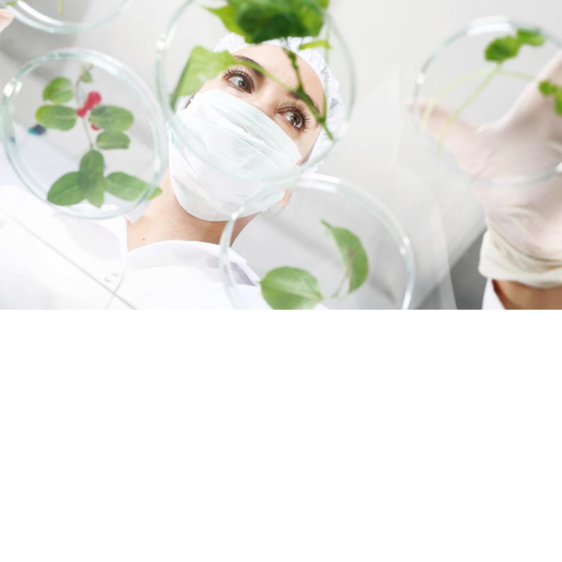 Yvonne van der Meer joins Bio-Based Industries Joint Undertaking