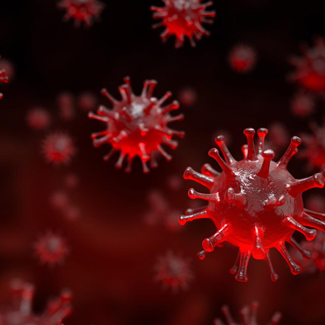 Corona virus