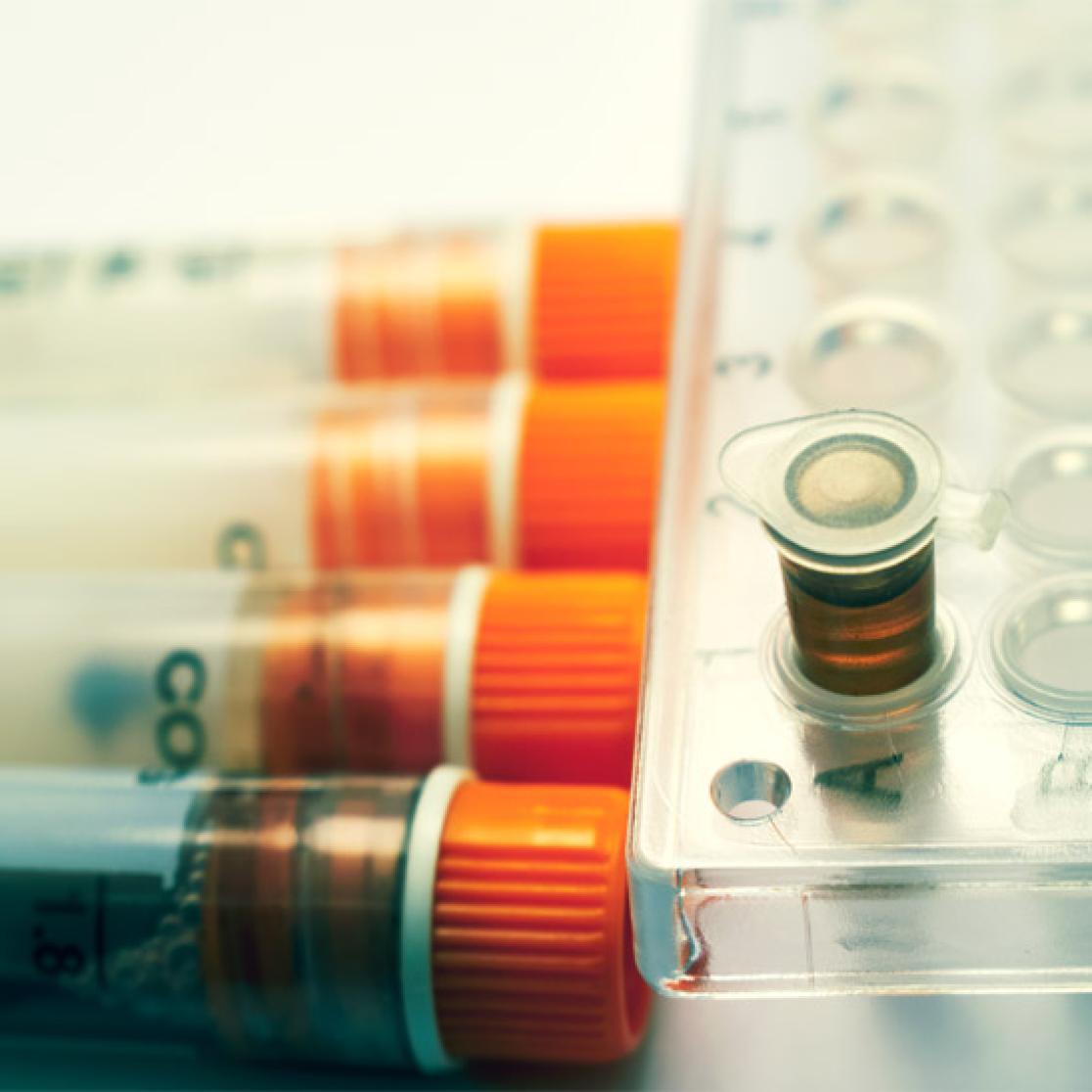 immunotherapy to fight cancer