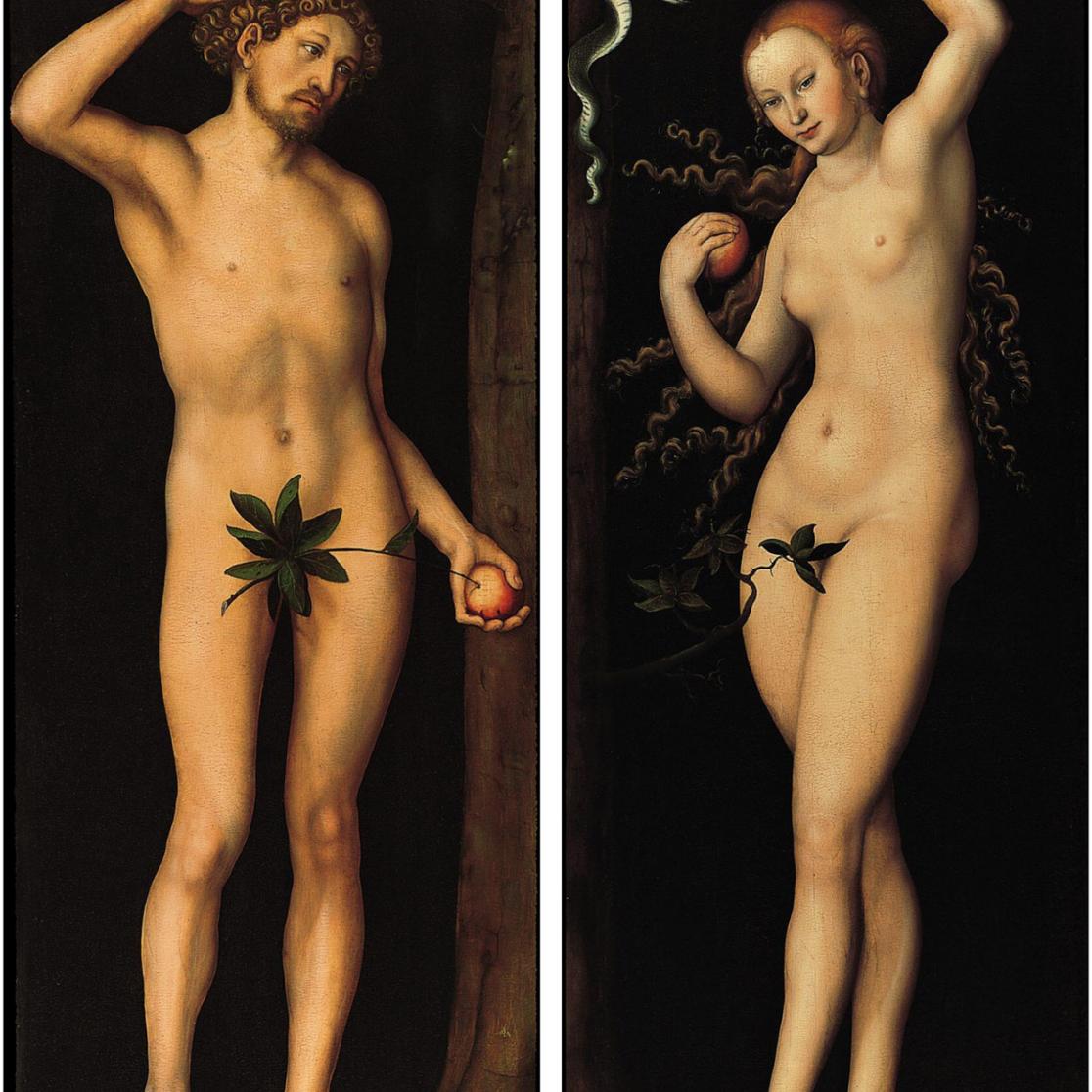 cranach