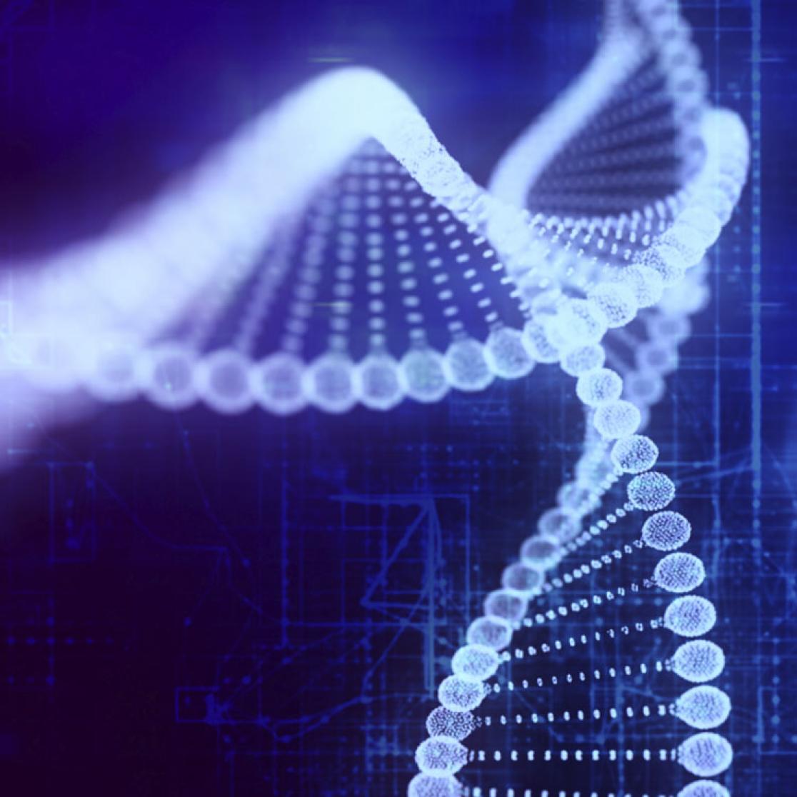 MaCSBio receives NWO-TIFN-TKI grant