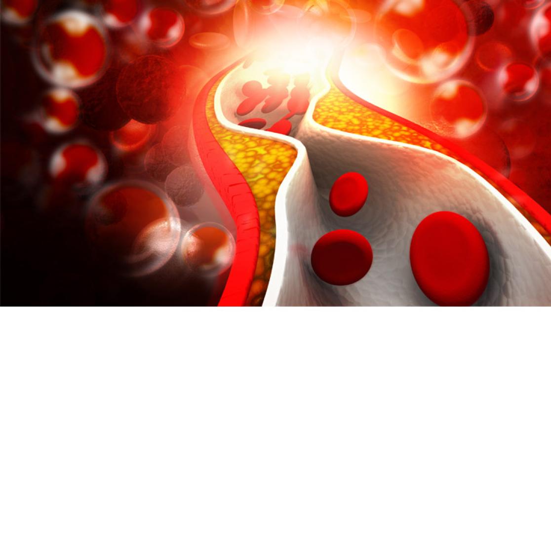 Good cholesteropl has also negative effects