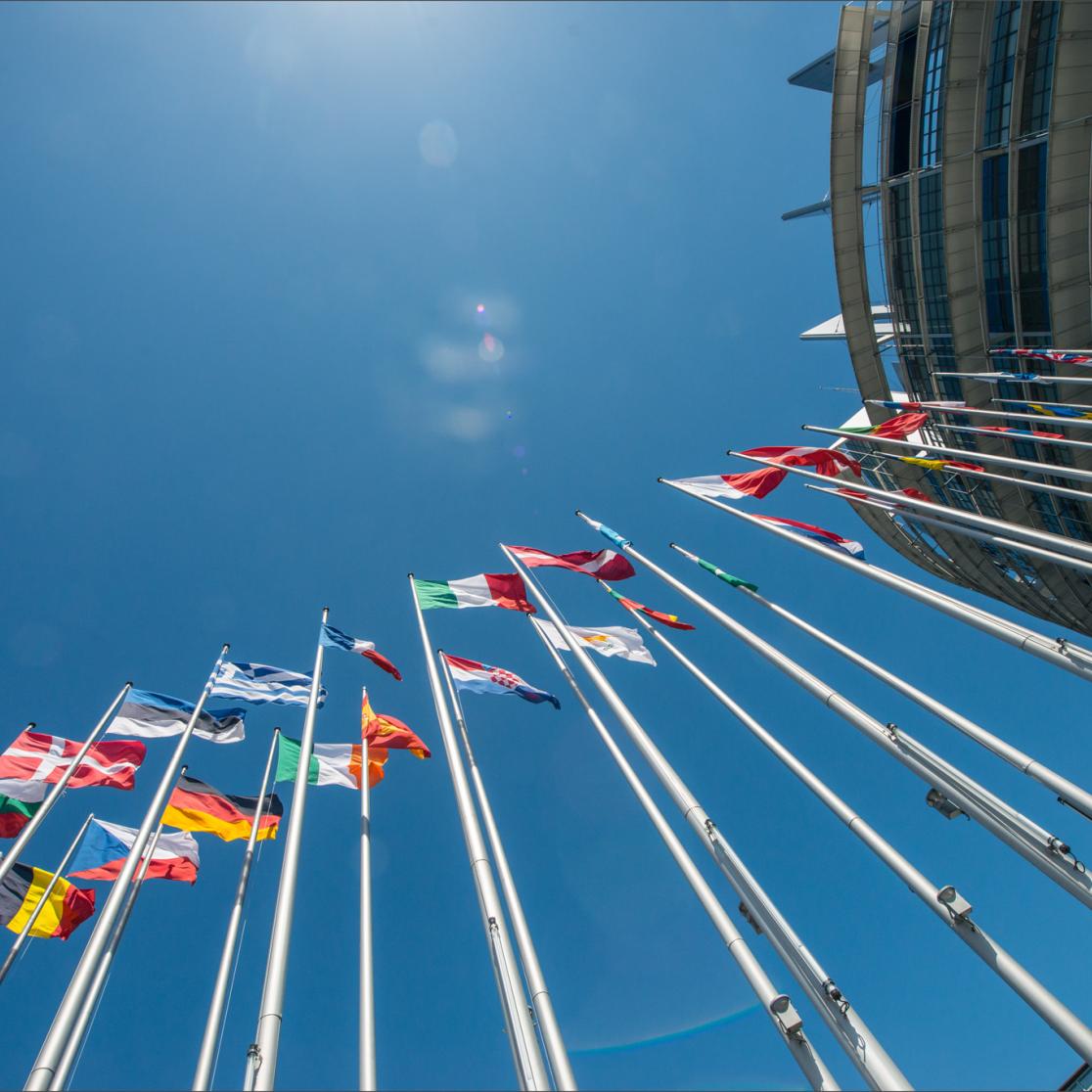 Nguyen, Hoai-Thu Book European and national parliaments