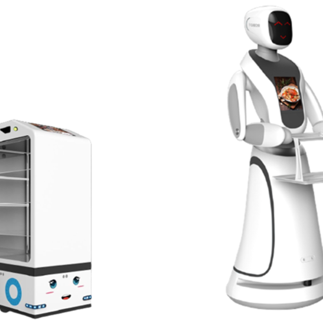 Service robot
