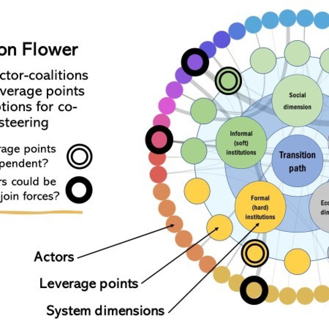 The Transition Flower