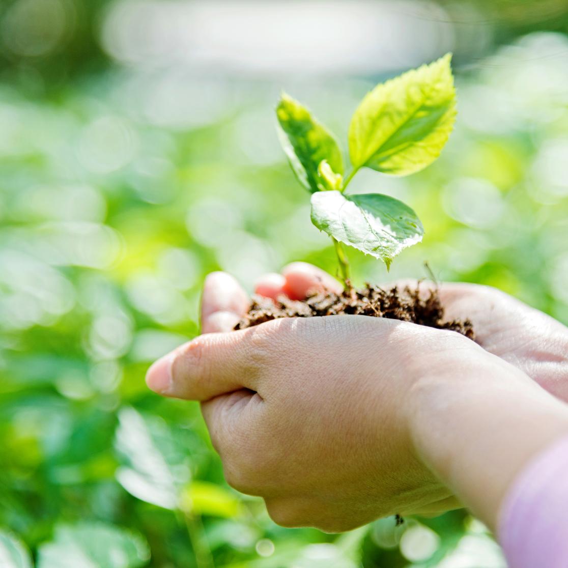 sustainability