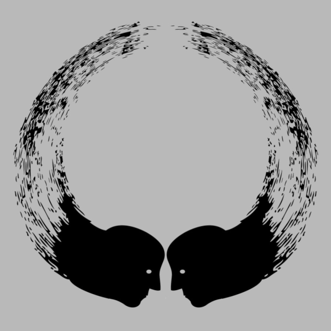 polarization blog Antonia Waltermann_MLR