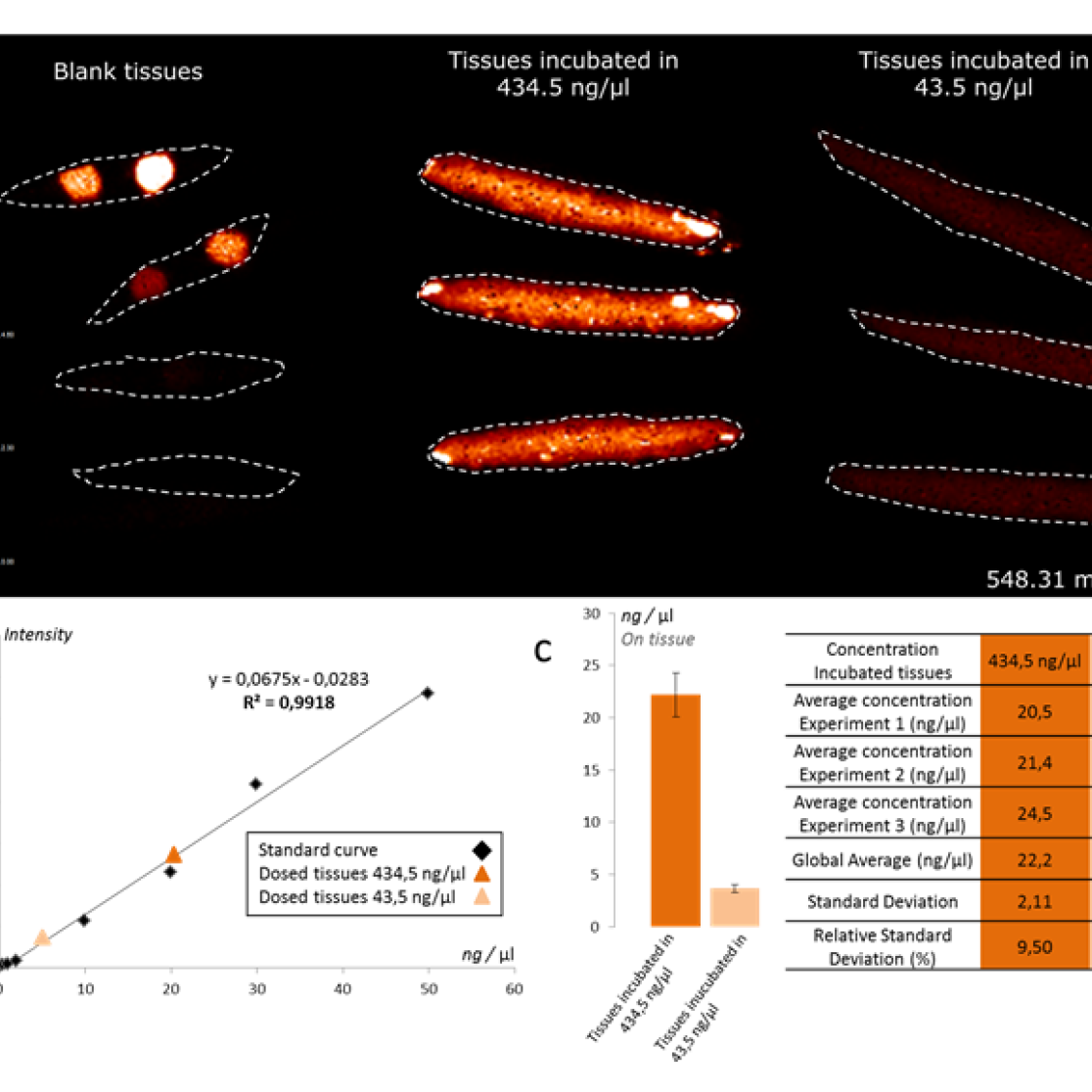 Project targetcare - new approaches to joint diseases