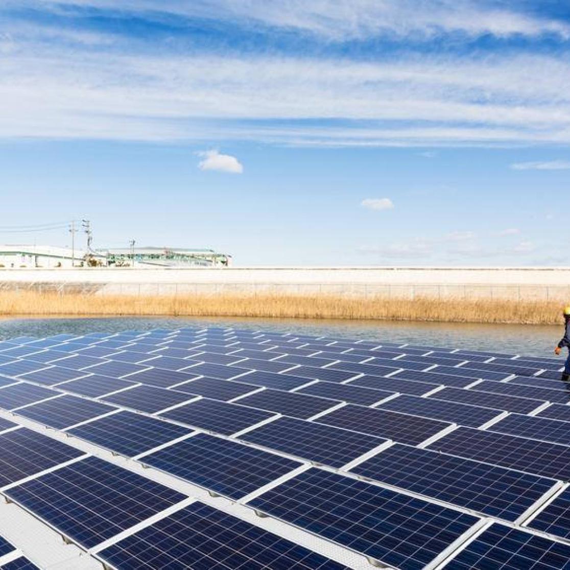 Renewable energy_law Blogs Maastricht