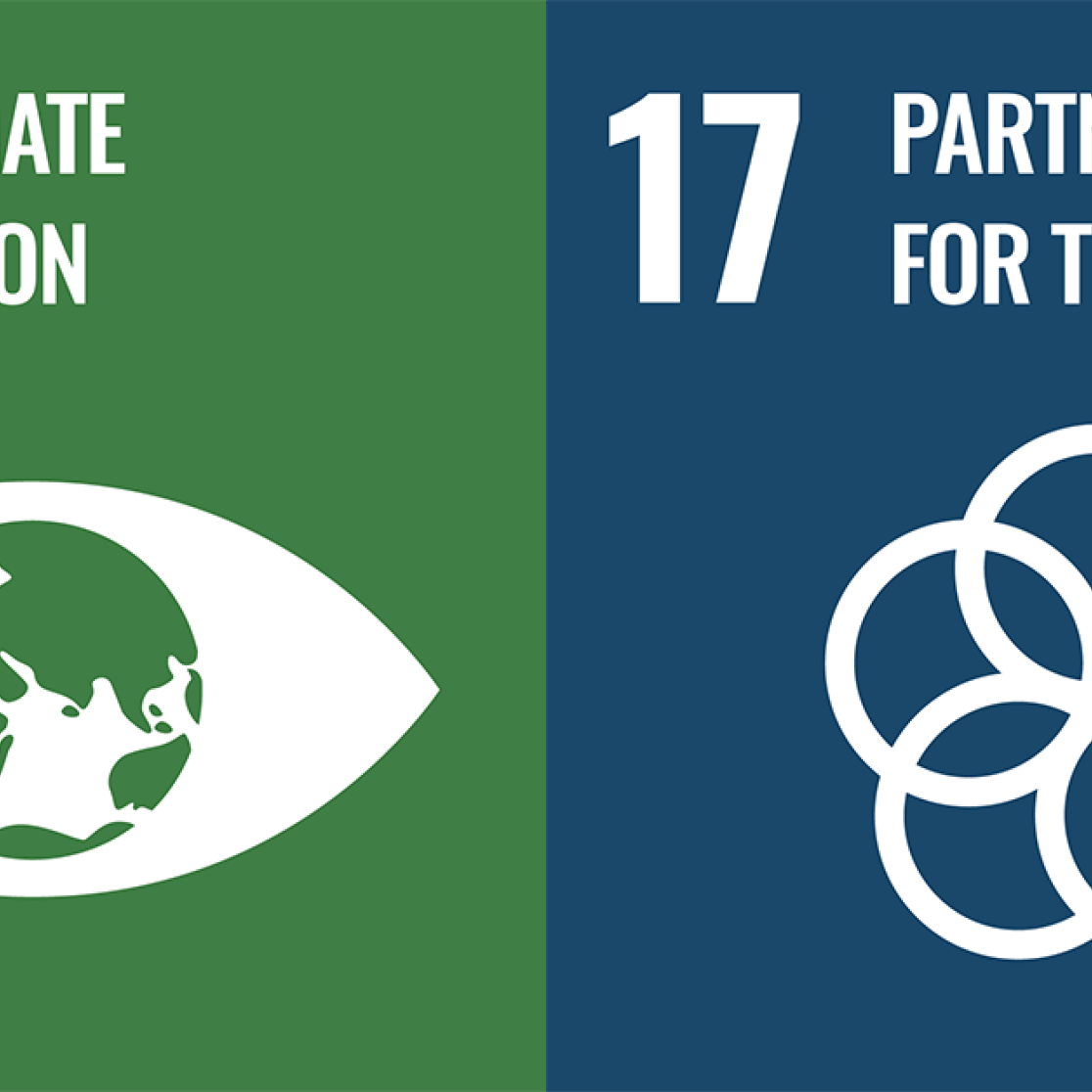 SDG 13-17