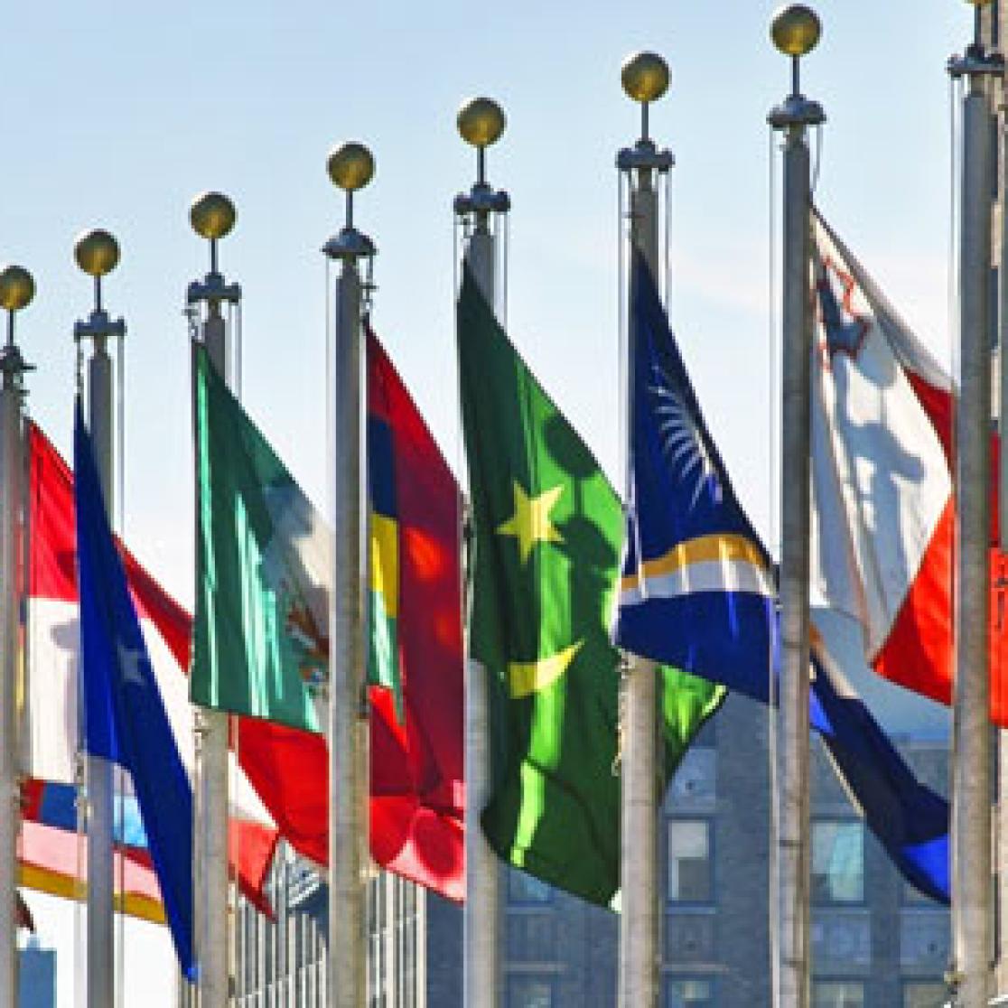 image of world flags