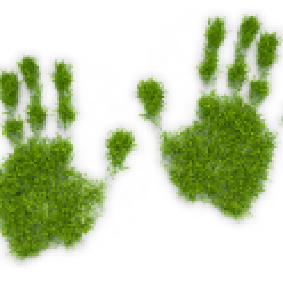 Green hands