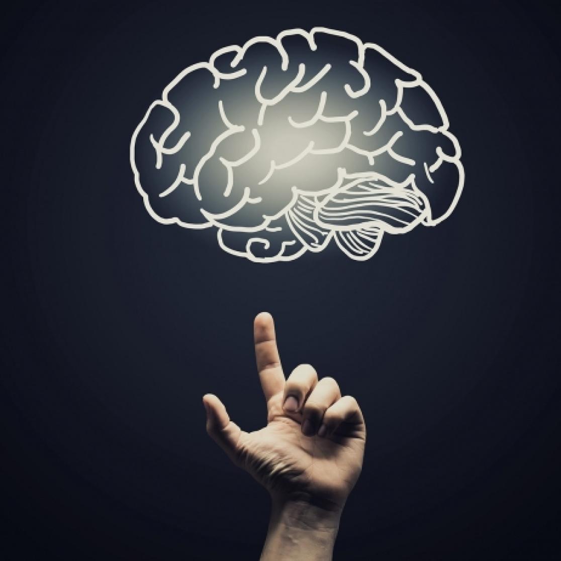 A picture of someone pointing at a brain