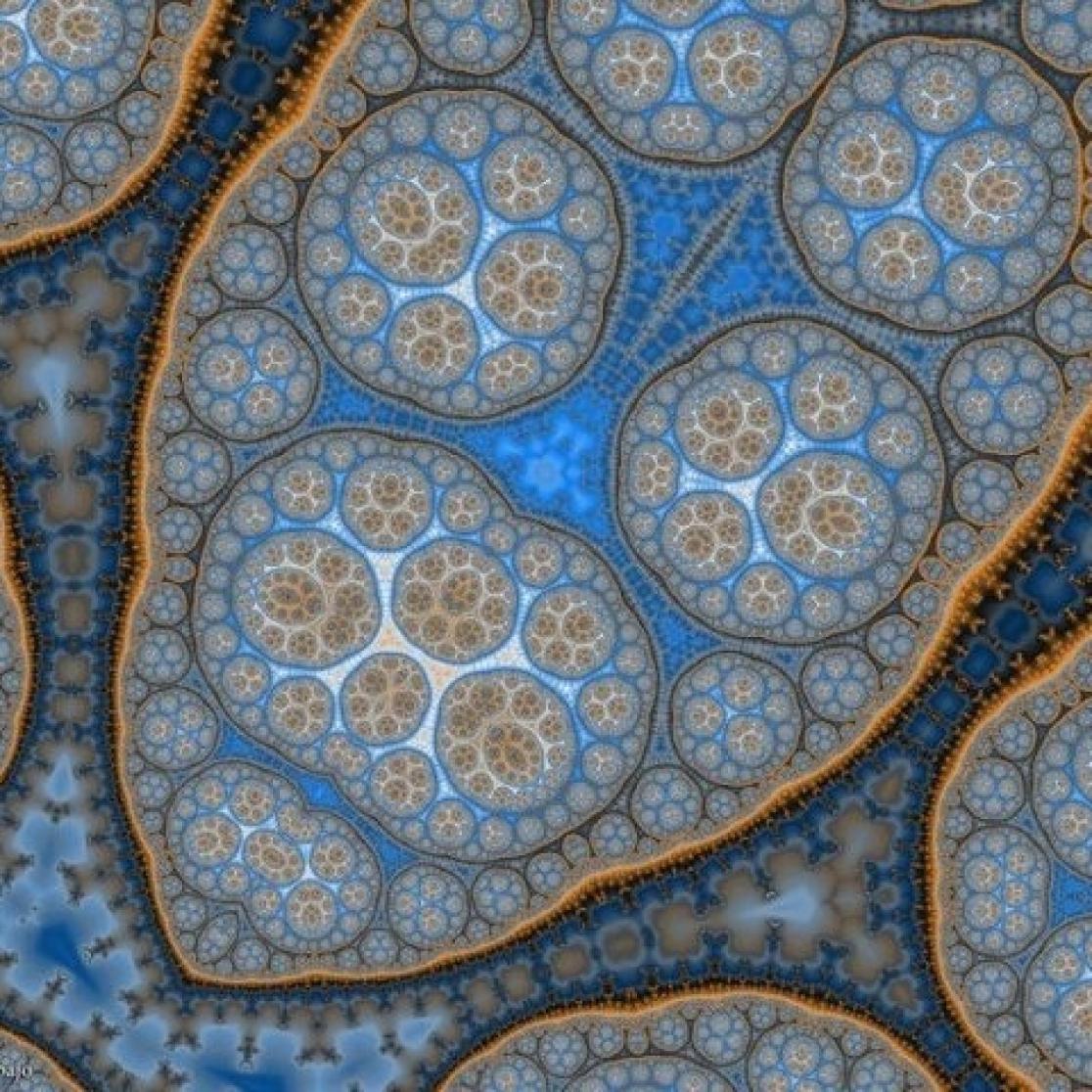 A picture om a cell.