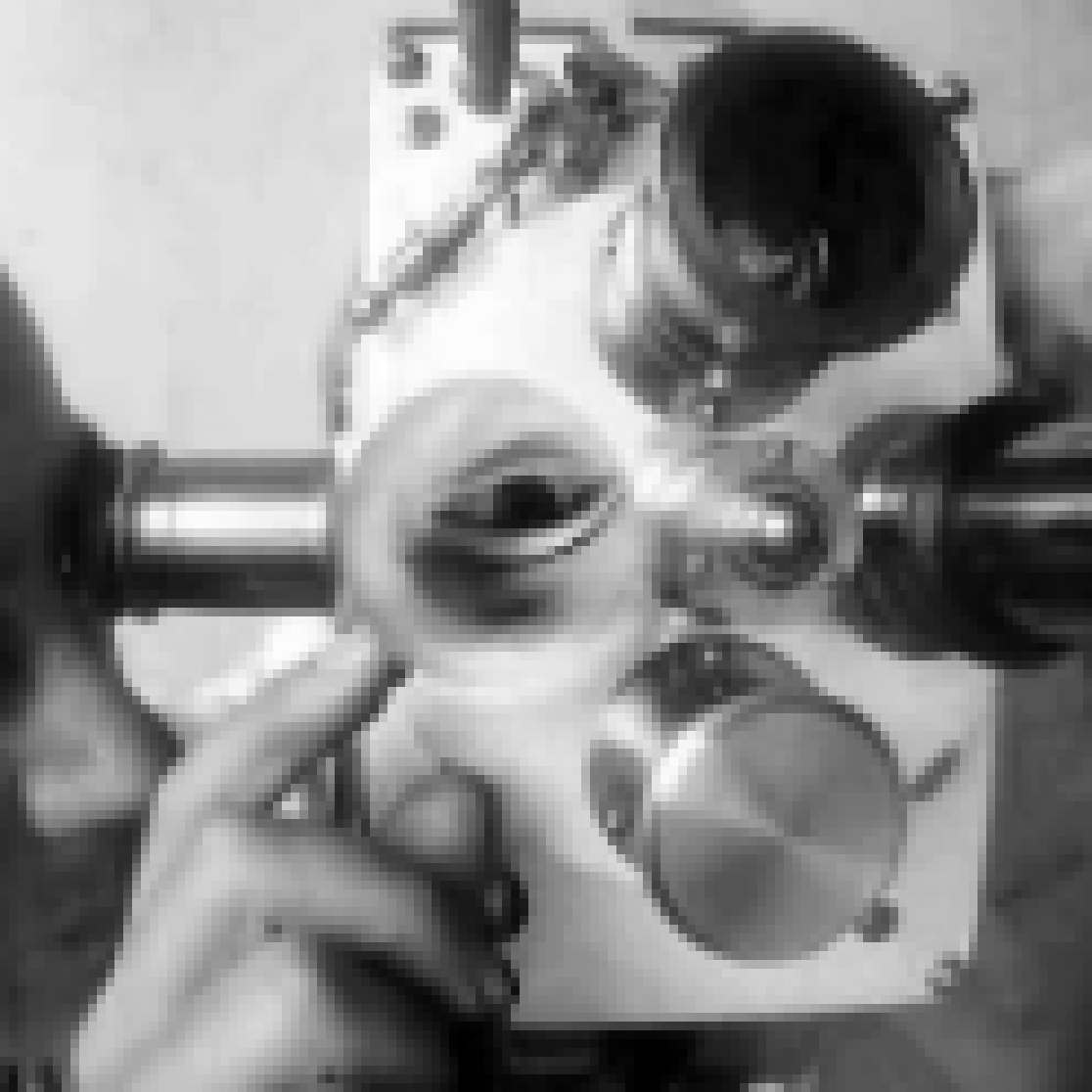 Cinema Dada