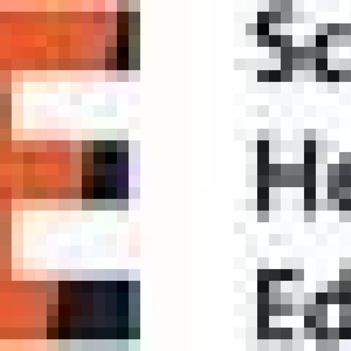 SHE