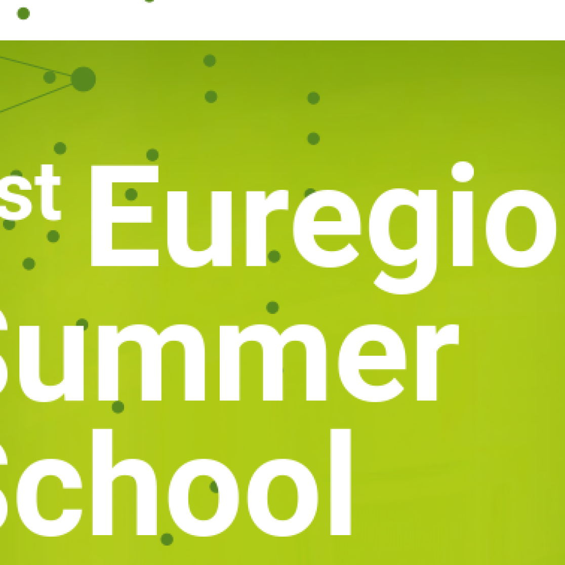summer_school_flyer_for_recruiting_maastrichtu_online_deadline_7jun_verkleind.png