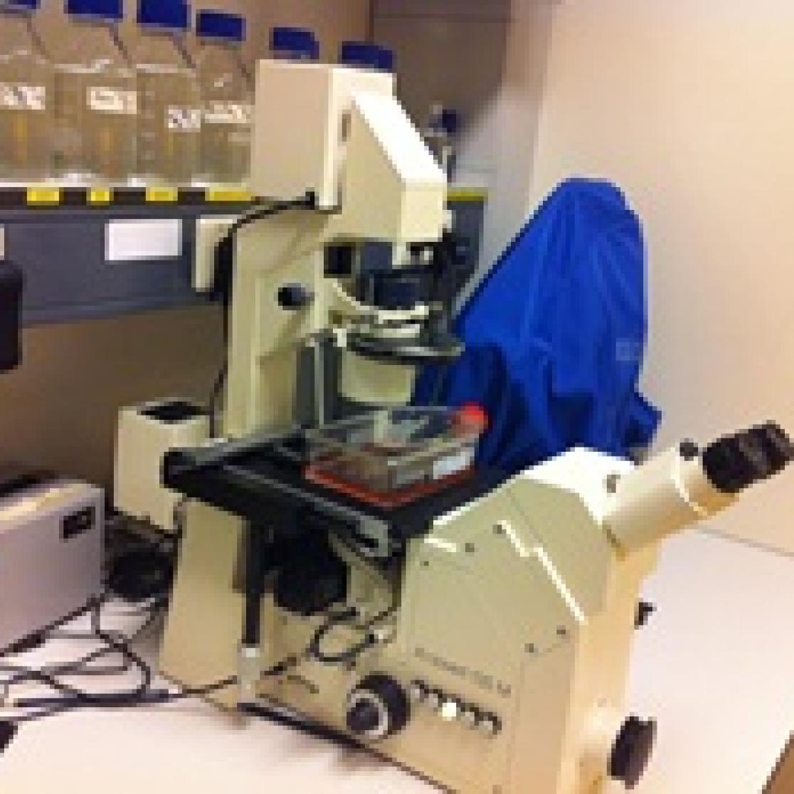 Research Surgery 6