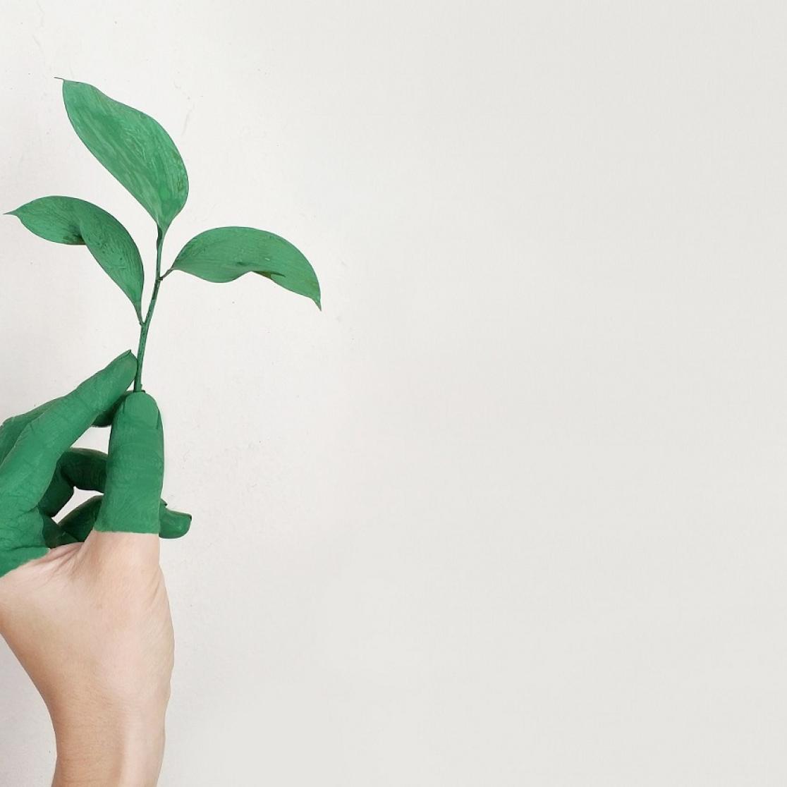 sustainable symposium