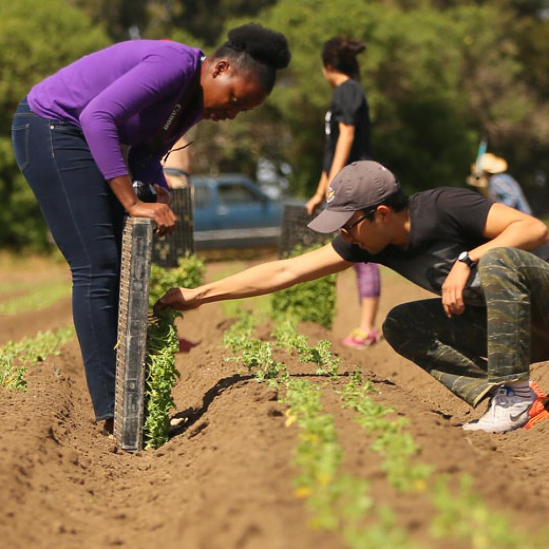 Test image with some students in a green setting garden plants