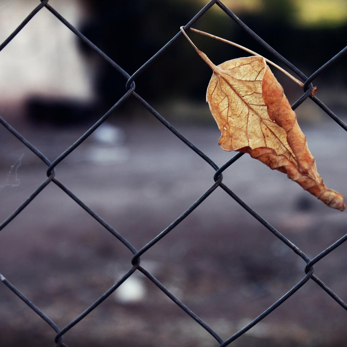 Trapped in a marriage research project