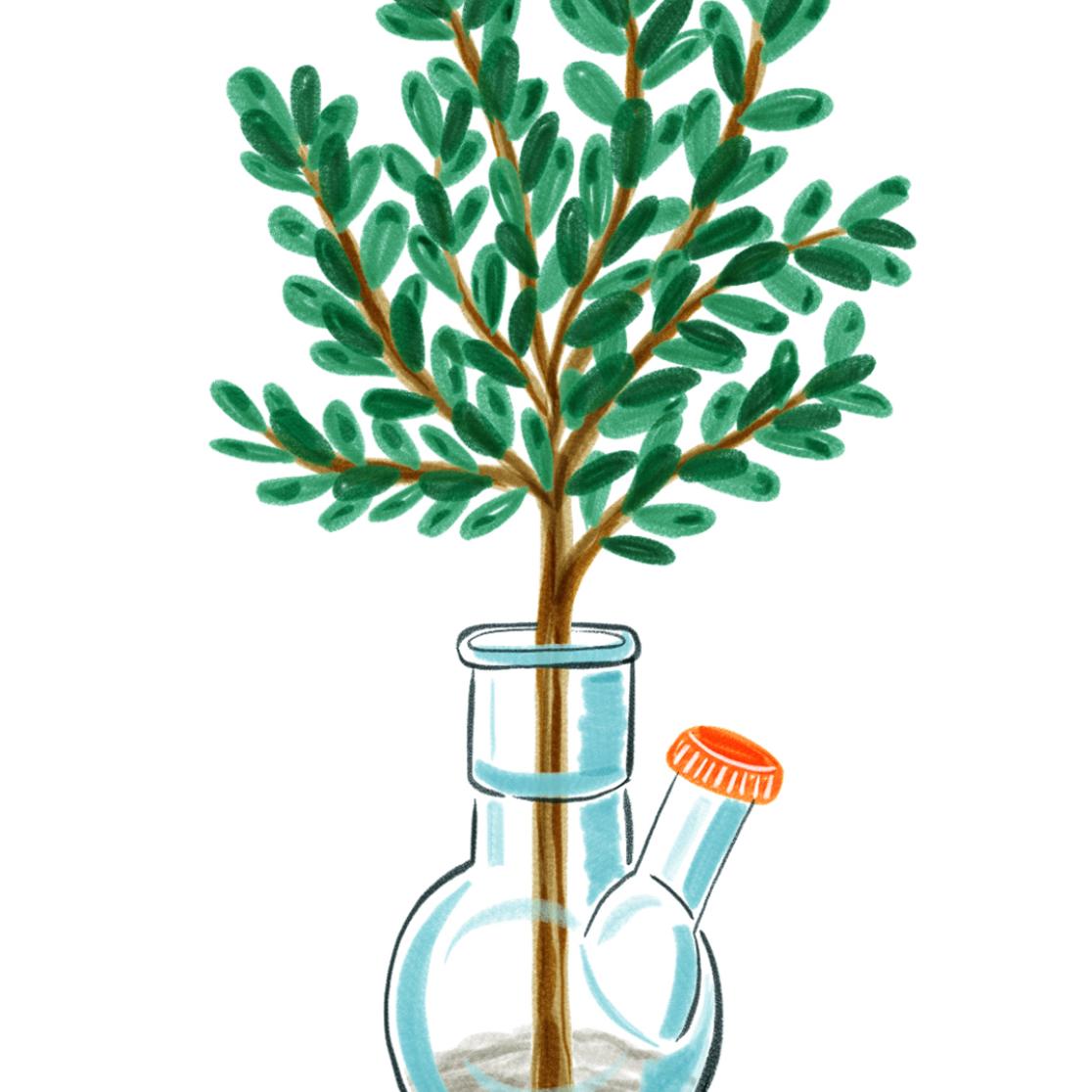 Illustratie Veronique de Jong