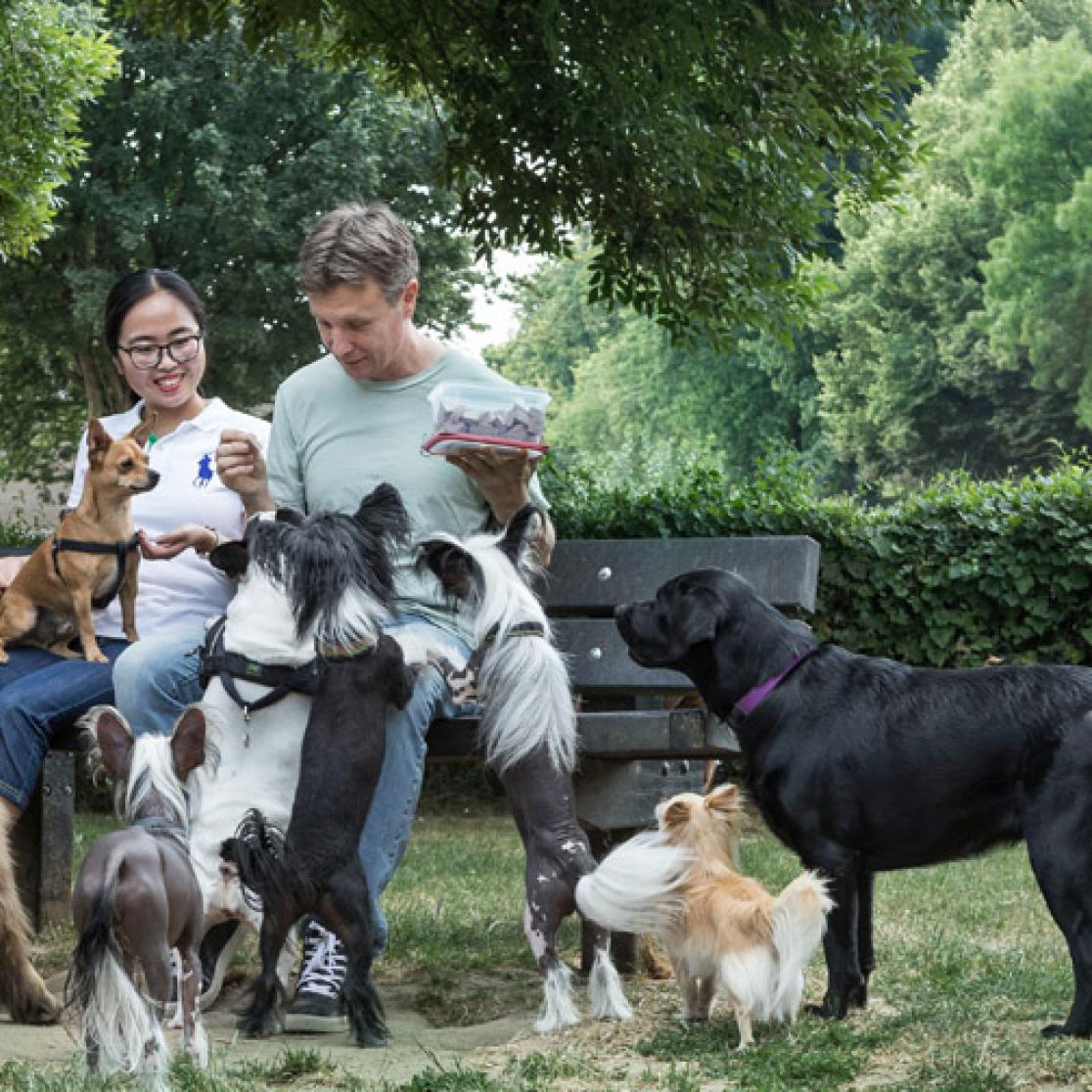 Onderzoek naar een duurzame relatie tussen mens en dier 