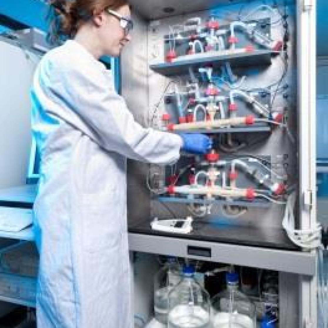 Lab Koen Venema