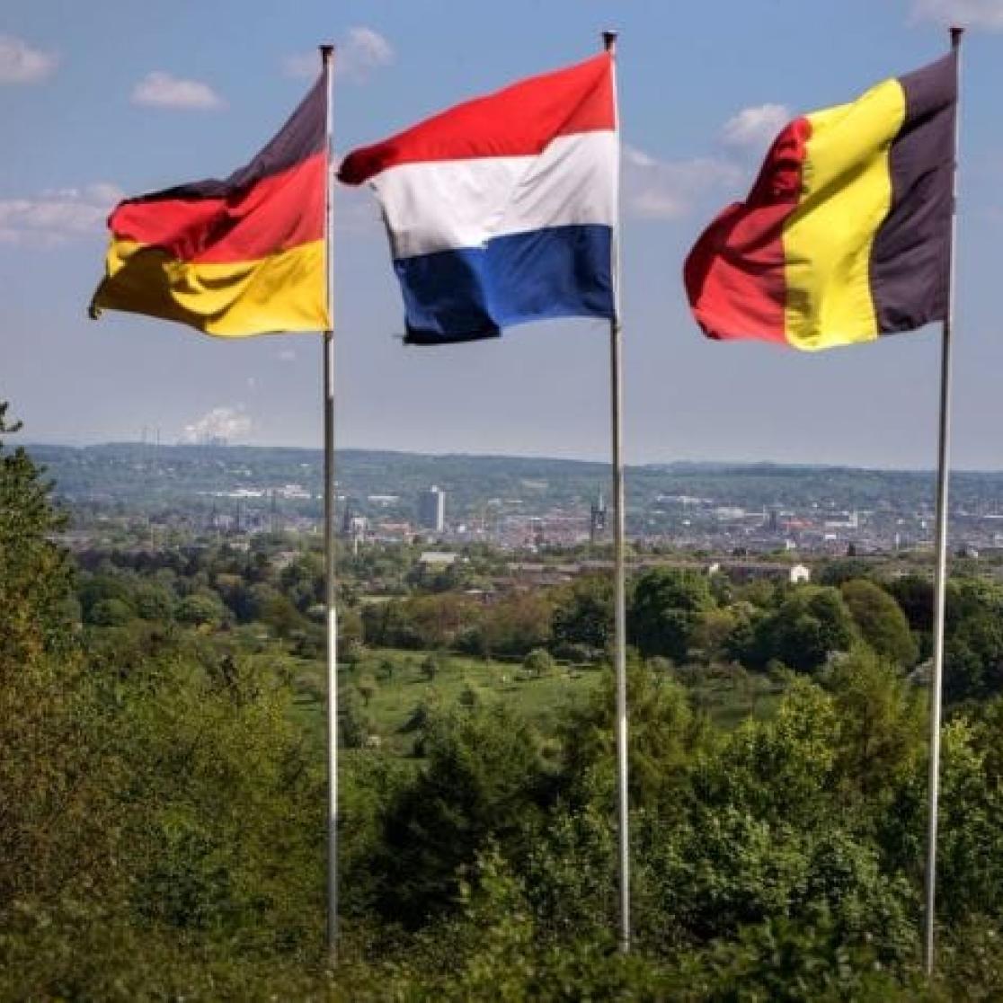 Vlaggen Euregio