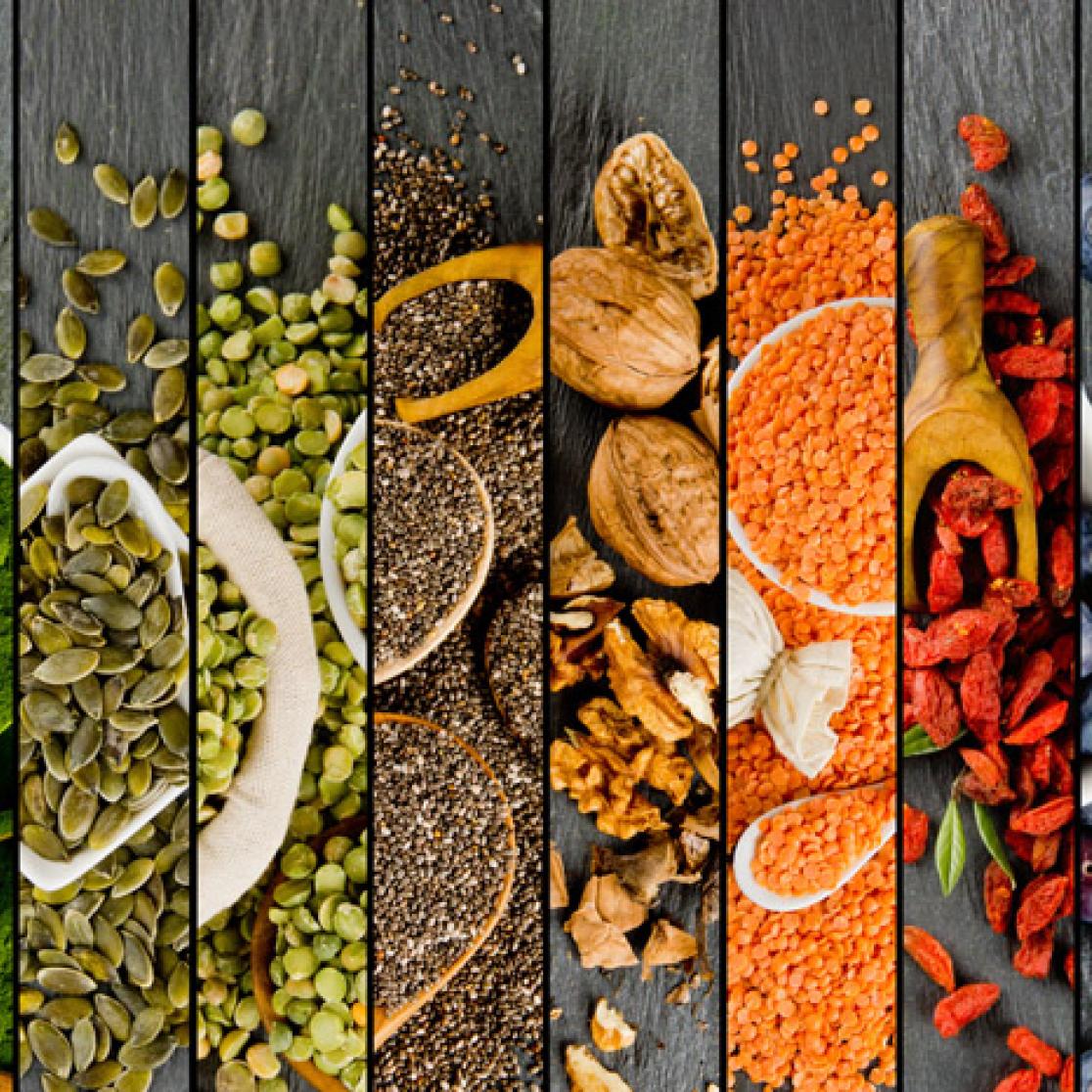 sustainability vegan 